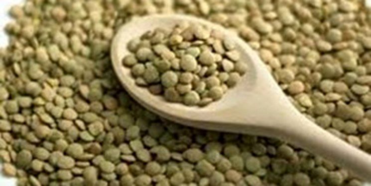 آیا عدس برای شما خوب است؟