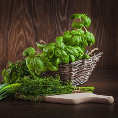 چرا همراه غذا ریحان بخوریم