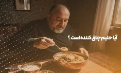 آیا حلیم چاق کننده است ؟ - آش سرای نمونه